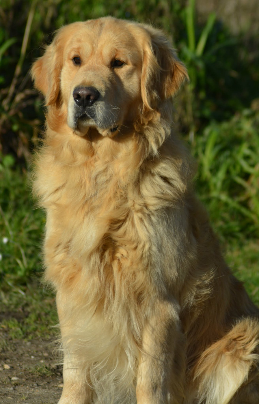 THANOS of three love angel