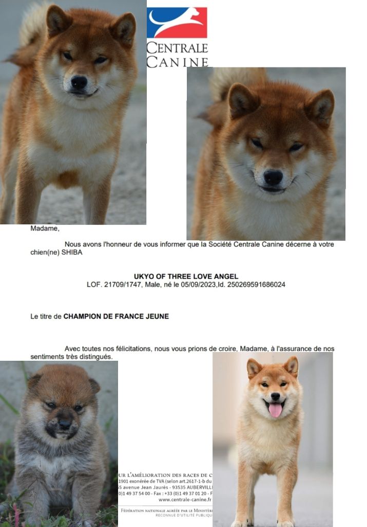 of three love angel - Jeune Champion de France 
