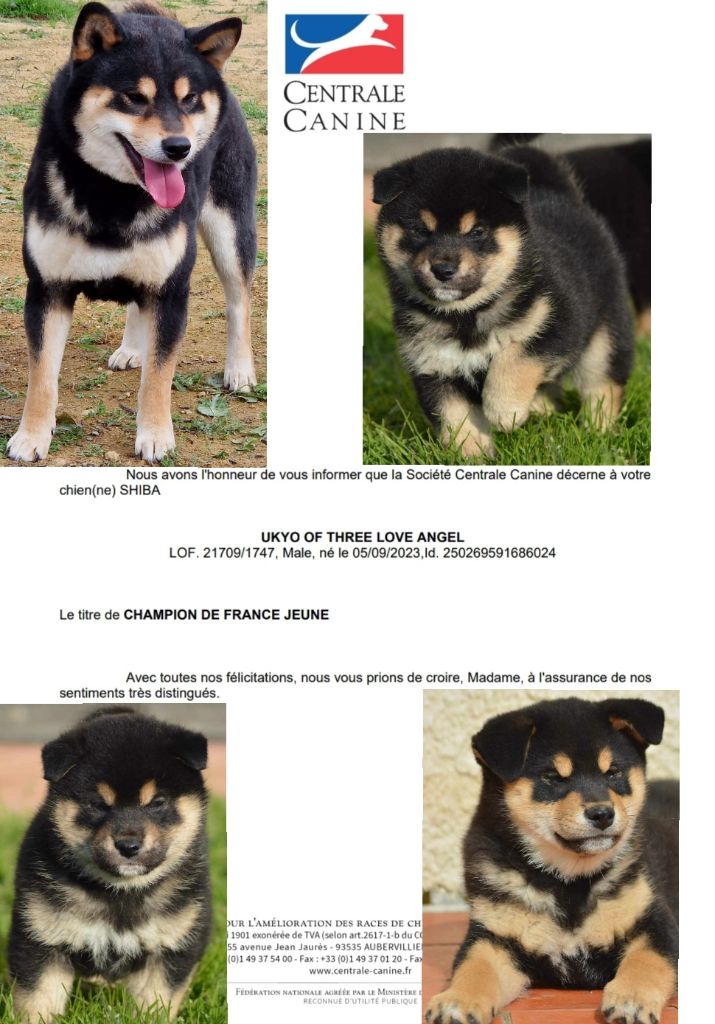 of three love angel - Jeune Champion de France 